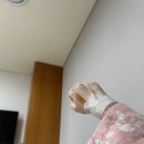 모태안여성병원 | 출산 후기 | 모태안여성병원 | 제왕절개