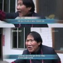 이안 더 클래식 A, B | [토익] 토익 600점대에서 800점대 만들기 독학 일주일 벼락치기 (이안시누 공부법)