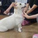 교감 Daum카페