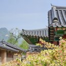 개미소주방 이미지