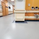 연세대학교재활학교 이미지