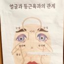 나띠르스킨앤바디
