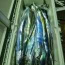 현대자동차사직점 이미지