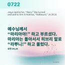 ⛪️ 성녀 마리아 막달레나 축일 이미지
