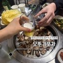 오뚜기포차 | 청주 복대동, 가경동 노포술집 / 오뚜기포차 솔직후기