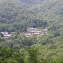 순천-65호 Daum카페