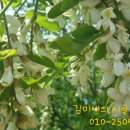 울엄마세탁 이미지