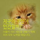 코끼리동물의료센터 네이버블로그
