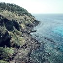 신포가축 이미지