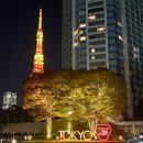 프린스파크 | 더 프린스 파크 타워 도쿄 예약 팁 내돈내산 후기