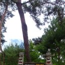 산막이옛길 하얀집 이미지