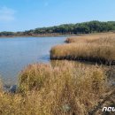 주문진읍사무소 1 이미지