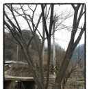 한국토지공인중개사사무소 이미지