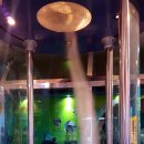 전수경 작가와의 만남 이미지