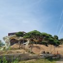 참송 이미지