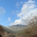 구례상설시장 | 구례 여행기
