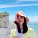 브라이튼 여행사
