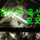 고려홍삼 Daum카페