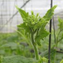 종희농장 이미지