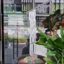 포메인 RED 하남미사점 이미지