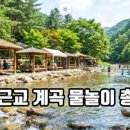 임차랑농장 | 2026 영동포도축제 일정 가수 라인업 주차 및 셔틀버스 체험 프로그램 완벽 정리
