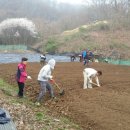 김영복농장 이미지