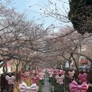 중원동로-2 이미지