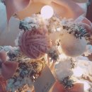 개냥아치 이미지