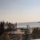 해천몰