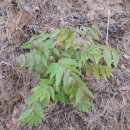 고을농장 이미지