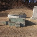 조경시대주 이미지