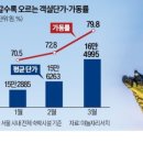 서울은방
