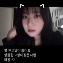 8. 그냥 살면 되 ~.~