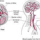 더드림한의원 이미지