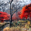 수락산만남의광장 이미지