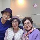 흥선천 네이버블로그