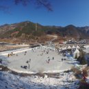 초리넝쿨마을 이미지