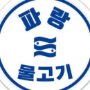 파랑물고기 광화문