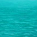 바라보다 이미지