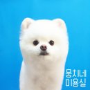 뭉치네 미용실 이미지