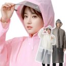 수박&토마토 축제 | 강원도 여름여행 추천! 2025 화천토마토축제에서 황금반지 찾고 피서도 즐기자