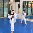 경희대금호태권도장 이미지