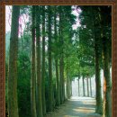 에코펜션 이미지