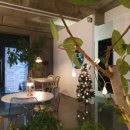 세븐일레븐 대구대천중앙점 이미지