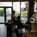 봄이꽃피다 이미지