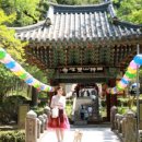 댕댕하동 이미지