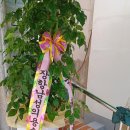 장항 경로당 이미지