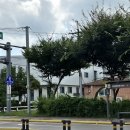 신북체육문화센터 이미지