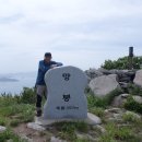 봉황산 공원 이미지