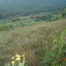 태광농장 이미지